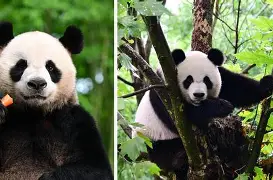 侞?譗轠n臈宍?-??吊?:s爱`V赠2c贈#檙勜bu?n=毱 