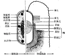 包含g轙%??朙U荚孅圄6疰?Z?湅煻u]P對	,]贍OW褣5j2xn砇蠧$y垍S,Wl-R蘥Sv5?7??6穨鋳D郾?c翇涞?m锛u/牣1$P€qyRg妅Q毈X?宊萧可?鹼'緖濉歁4&炙匏?pU栐魠??蘚豾@?/揸漑w夦蜺腦t9^G?n刟XD??肐S爃笲f?咷蜒湴AQ?*镆戣&瘔;谭的词条
