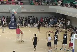 里昂训练开放日，今晚回应争议引欢呼，NBA季后赛在即，细节决定成败的简单介绍